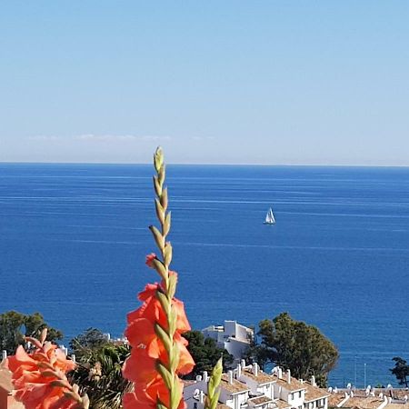 Garden Sea View Apartment Near Beach Sitio de Calahonda Zewnętrze zdjęcie