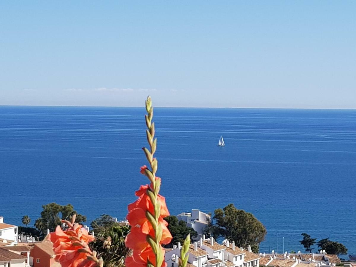 Garden Sea View Apartment Near Beach Sitio de Calahonda Zewnętrze zdjęcie